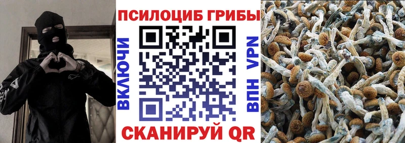 Купить где  Малоярославец  Галлюциногенные грибы прущие грибы 